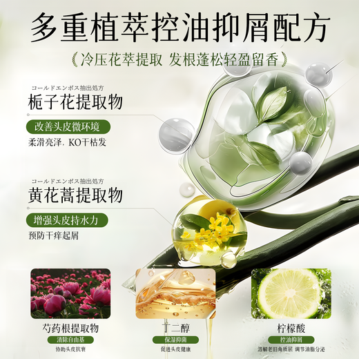 倍膳健 柔时飘逸香氛洗发水800ML控油蓬松洗发露去屑留香洗头膏男女士
