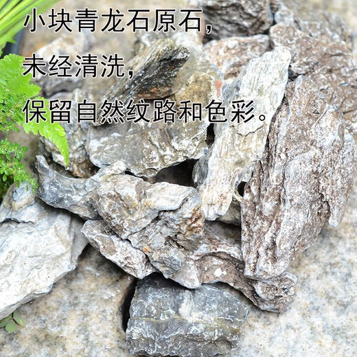 Natural micro landscape primary color blue dragon stone aquarium fish tank moss plant potted plant decoration grass tank tropical fish breeding turtle 10-12 cm blue dragon stone buy 5 pieces and get 10 pieces