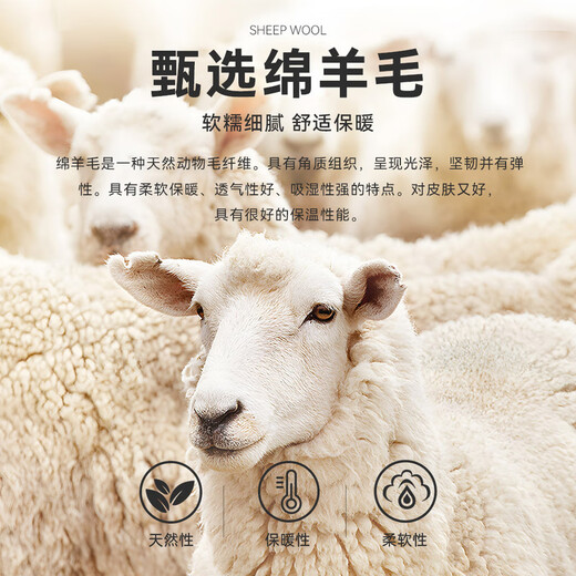 Raidy Boer/雷迪波尔【可机洗易打理】男秋季针织毛衣开衫5407-70 黑色  175/50/L