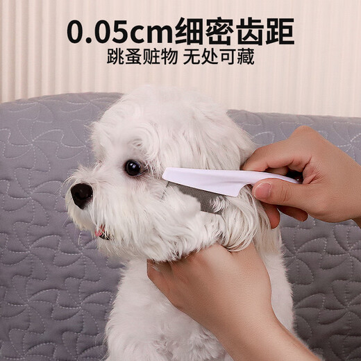QiOh dog comb, cat comb, special cat comb, Teddy Bichon face comb, cleaning tool, flea comb, complete list of supplies, upgraded anti-static-white small size
