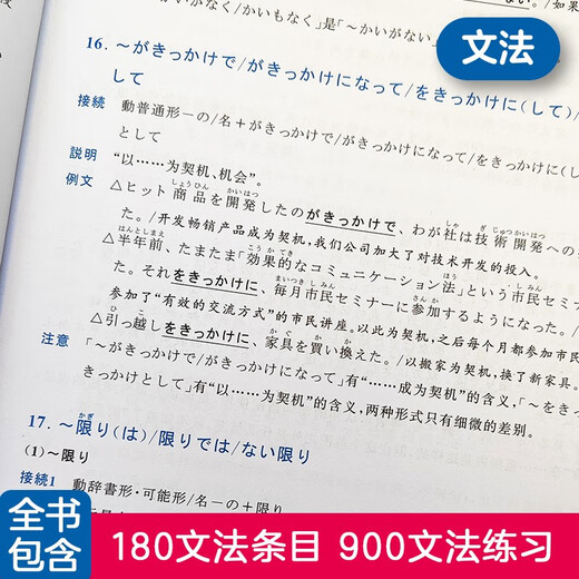日语红蓝宝书系列 蓝宝书 新日本语能力考试N2文法 语法（详解+练习）
