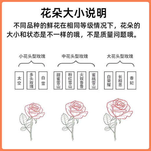 Jingdong Flowers Baixueshan Rose 10 Ruyi Base Fresh-cut Flowers Water-raised Flower Arrangement Lifestyle Bouquet Gifts Straight from the Source