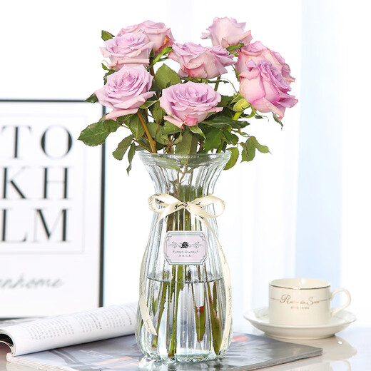 Shengshi Taibao glass vase vase dry flower gypsophila artificial flower container living room decoration ornaments transparent color 22cm