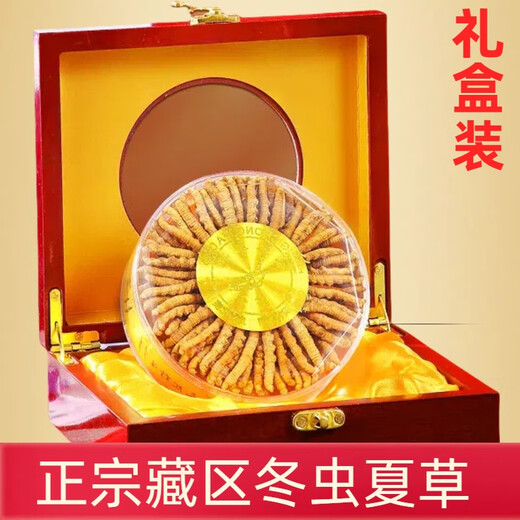正宗冬虫夏草50条礼盒装虫草高品质正品药材虫草王干货虫草礼盒装 正宗藏区2条一克虫草 正宗虫草10克装