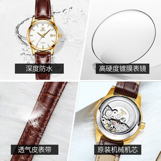 Olevs Marca Matrícula Mujer Mecánica Matrimonio Simple Watch Women's Womenus Luminoso Hollow Diamond Fashion Watry's Watch Olevs-6629 Surfán de cuero marrón mujer de cuero marrón