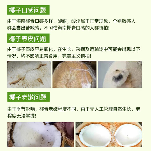 Xianyouji Hainan Wenchang Coconut Green Large Fruit Fresh Coconut Pregnant Women Coconut Picked Now Delivery Coconut Opener and Straw 6 pieces with coconut opener and straw (single fruit 900g+