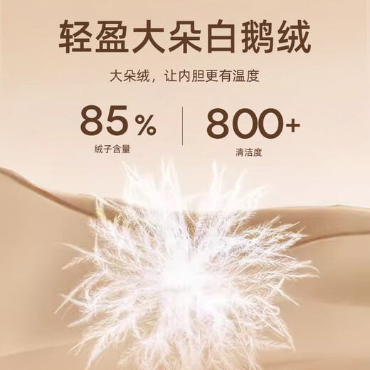 雅戈尔（YOUNGOR）男装大衣男单排扣外套修身版商务大衣羊毛混纺羽绒内胆 VYSY015110FFY藏青 L 175/96A