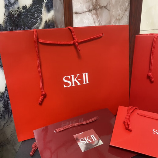 2025 high-end SK2 gift bag small medium large gift bag handbag paper bag packaging bag gift shopping bag 1 SK envelope sample bag