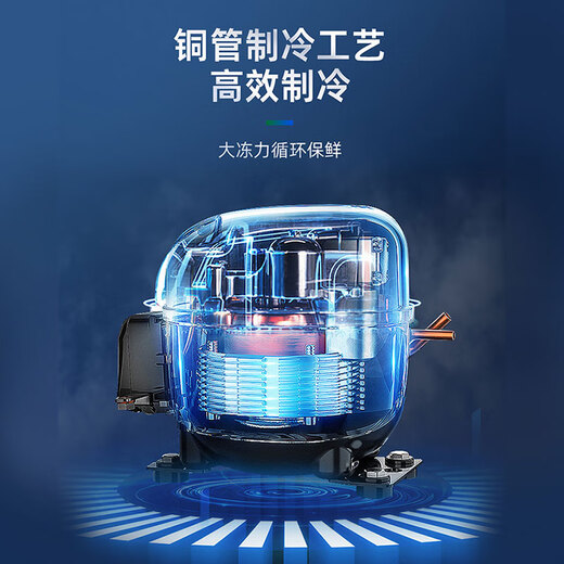 星星四门冰箱商用 立式冰柜 冷藏冷冻铜管双温大容量四六门饭店厨房学校食堂 -18度铜管1479升六门冷冻KD-1871G6