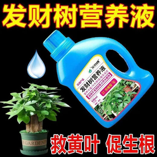 Aishangke Money Tree Nutrient Solution, the leaves turn yellow and fall off, the roots rot and the leaves fall off. Special fertilizer to promote roots, seedlings and sprouts without dilution. Buy 2 get 1 free. 3 bottles*500ml.