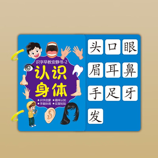 脘铼儿童识字早教3-6岁启蒙认字粘贴书游戏撕拉书幼儿早教玩具 8本一套