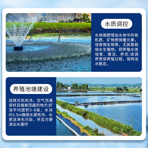 Fishing Travel Notes Domestic Macrobrachium rosenbergii net weight 750g 46-60 fresh cooked frozen freshwater shrimp big head shrimp 31-40Specifications