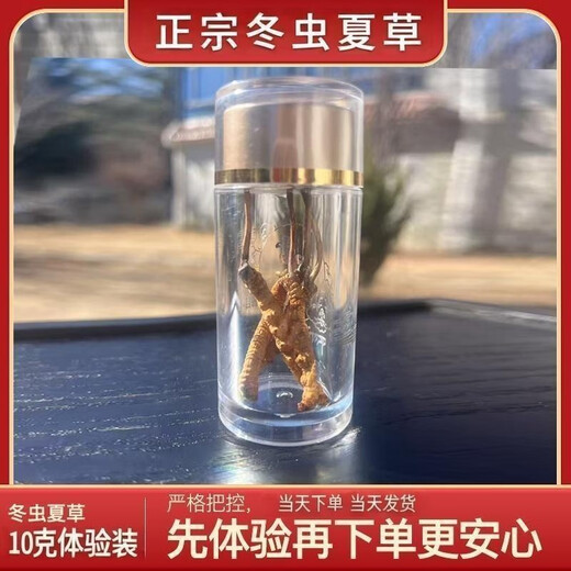Authentic Cordyceps sinensis first period selected nourishing dry goods two gram gift boxes for gifts and nutritious Cordyceps tonics, authentic Cordyceps sinensis in Tibetan areas, 4 gram one gram 50 gram