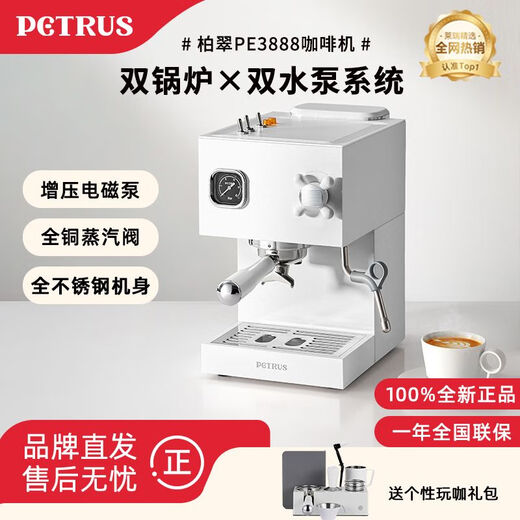 Petrus PE3888 Máquina de café italiano de doble caldera para el hogar Semiautomático Small All-in-One Machine Milk Sokeing Ice Americano