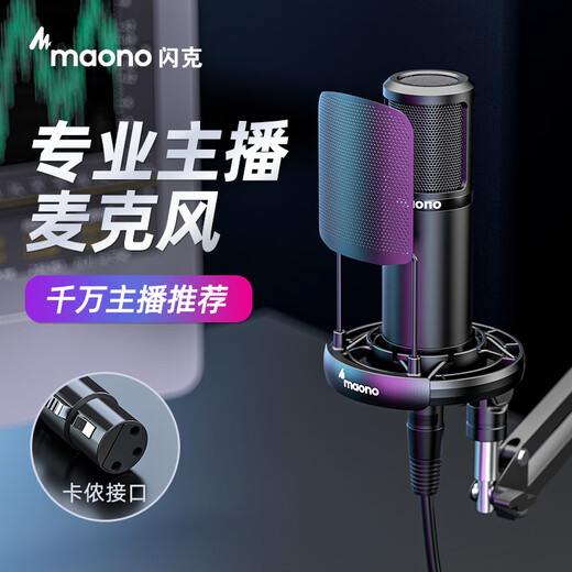 Flash PM320S live broadcast microphone anchor special game e-sports live singing and delivery condenser microphone noise reduction mobile phone computer recording professional microphone Flash PM320 PM320S (cantilever model)