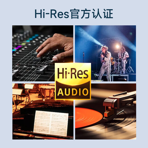 JBL TUNE 305C wired headphones Type-C interface semi-in-ear headphones computer headphones suitable for USB-C plug and play Double 11 shopping recommendations black