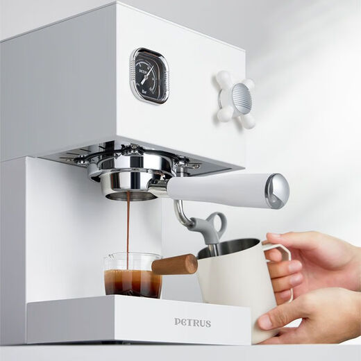 Petrus PE3888 Máquina de café italiano de doble caldera para el hogar Semiautomático Small All-in-One Machine Milk Sokeing Ice Americano