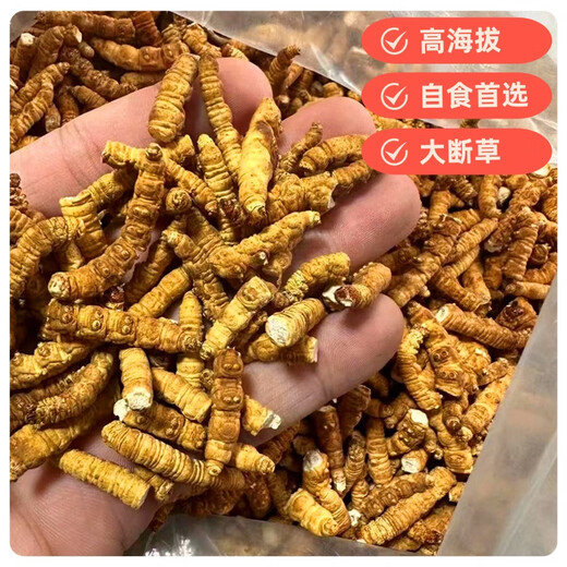
Xina Tibet Que High-altitude Cordyceps Cordyceps Broken Grass Large bottles High-altitude Self-use authentic home outfits Tibet Naqu Broken Grass 50 grams pack 5 grams hair 55 grams