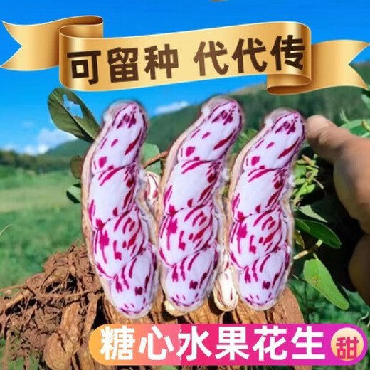 Candied Fruit Peanut Seeds Colorful Peanut Seeds Shelled Fresh Peanut Seeds Colorful Peanut Seeds Candied Fruit Peanut Seeds 200g Selected Belt