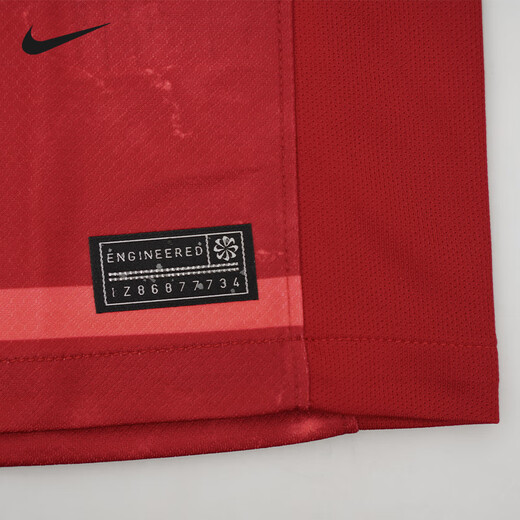 Nike Tianlang Football Nike 25th season Chinese Super League Chengdu Rongcheng home jersey short-sleeved football uniform HM6166-687 The picture is for printing only, no reason for return and exchange S