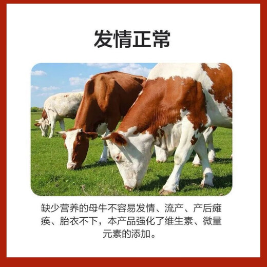 5% Cow Premix Dabeinong Core Technology Estrus Breeding Nutritional Lactation Prevention Postpartum Paralysis Buy 10 Get 1 Free Get 11 Packs