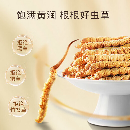 Dongguangguang Cordyceps 3-4 Wurzeln/g Bio-Cordyceps, nährende Geschenkbox, Nahrungsergänzungsmittel für Älteste und Eltern, 75 g Business-Geschenkbox aus Massivholz