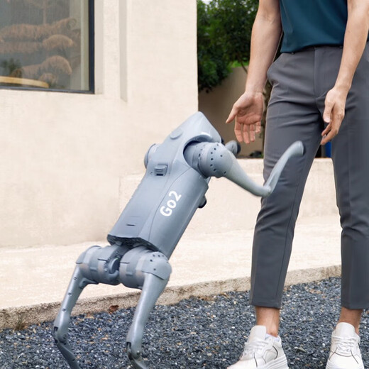 Yushu (Uniree) robot chien go2 go2 voix ai grand modèle robot chien électronique chien en relief renonce