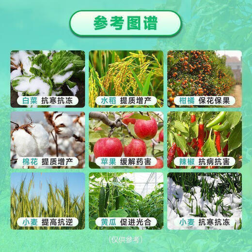 Aminobutanol foliar fertilizer, disease-resistant, root-producing, fruit tree, vegetable, flower-preserving, fruit-producing, plant growth regulator 10g *10 bags