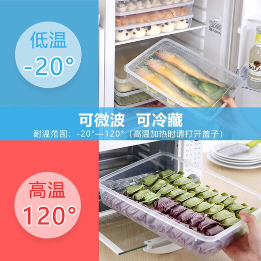 FANCYCHIC Dumpling Storage Box Refrigerator Dumpling Freezer Box Household Handmade Egg Preservation Quick-frozen Wonton Box Transparent Large 1 Box 1 Cover