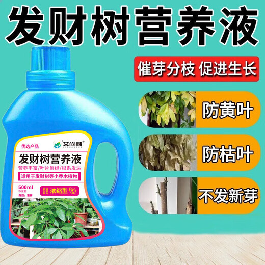 Aishangke Money Tree Nutrient Solution, the leaves turn yellow and fall off, the roots rot and the leaves fall off. Special fertilizer to promote roots, seedlings and sprouts without dilution. Buy 2 get 1 free. 3 bottles*500ml.