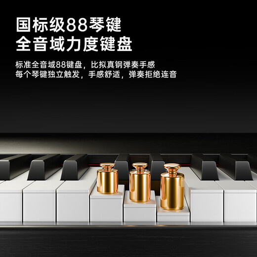 贝琪（Betsy）电钢琴88键成人儿童便携新手入门初学者电子钢琴-B877黑+Z支架