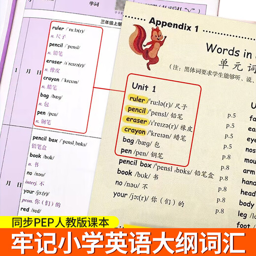 小学英语单词记背神器默写本汇总表必背654例背诵打卡计划人教PEP版三年级汇总500词汇小学生艾宾浩斯记忆法 小学英语单词速记本三年级 小学通用