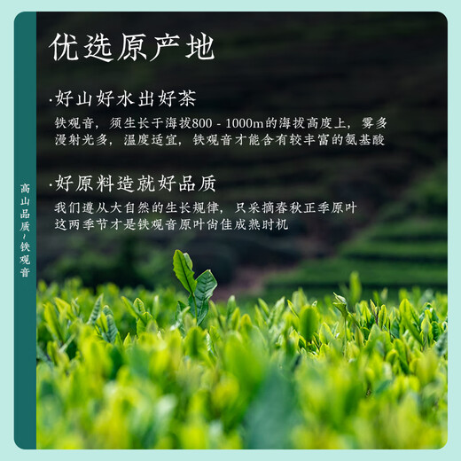茶一馆茶叶 2025新茶 特级安溪铁观音清香型乌龙茶礼盒装500g送礼送长辈
