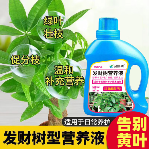 Aishangke Money Tree Nutrient Solution, the leaves turn yellow and fall off, the roots rot and the leaves fall off. Special fertilizer to promote roots, seedlings and sprouts without dilution. Buy 2 get 1 free. 3 bottles*500ml.