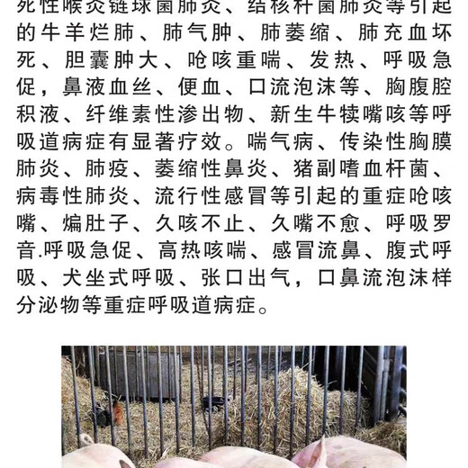 Mucan Veterinary Medicine for Severe Cough, Rotten Lungs, Pleuropneumonia, Pigs, Cattle, Sheep, Cough and Asthma, Porcine Pleural Pneumonia, Equine Cough and Asthma, Specially Available for Pregnant Animals, Cough and Asthma, Rotten Feikang Injection (1 set of 3 boxes) A+B+C