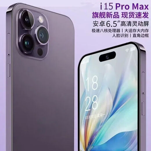 Original authentique Apple I16 Promax Nouveau 12 + 512 Go Face Face Empreinte Smart Android Network Full Network 5G Mobile Phone Black [Nouveau non ouvert] 12 + 512 Go Standard officiel