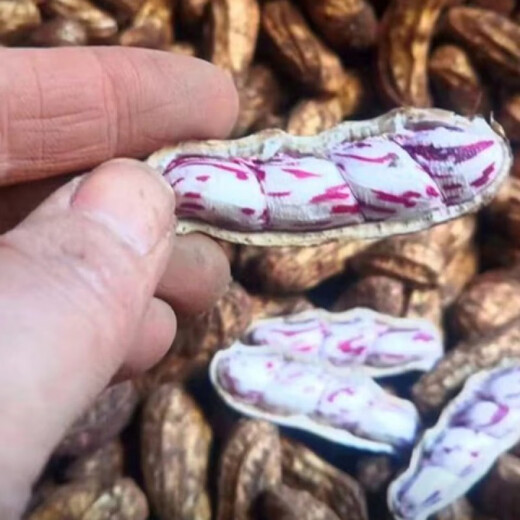 Candied Fruit Peanut Seeds Colorful Peanut Seeds Shelled Fresh Peanut Seeds Colorful Peanut Seeds Candied Fruit Peanut Seeds 200g Selected Belt