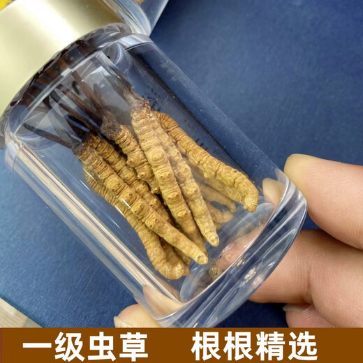 西那藏曲冬虫夏草干货虫草礼盒装高海拔雪山虫草精选冬虫夏草送礼 西藏那曲虫草3根1克合计10条装