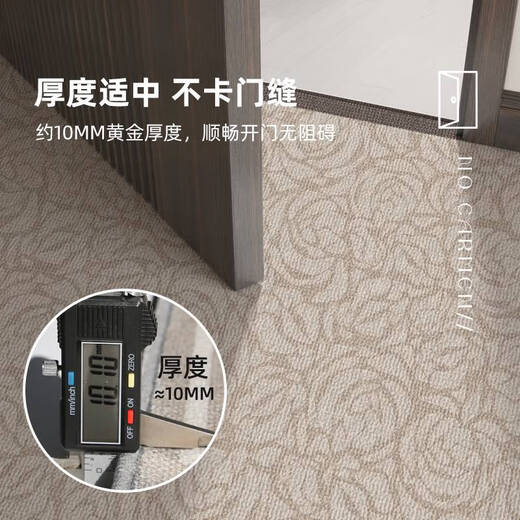 咏幻地垫入户门垫感门口玄关脚垫耐脏免洗地毯家用门外可裁剪垫子 朝暮-14109 120cm*180cm升级9代耐脏法尔曼