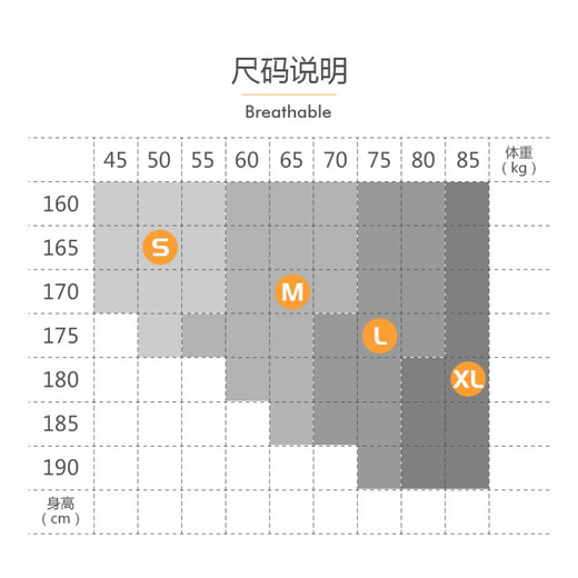 男士丁字裤一根线丁字裤男性感网纱男士内裤波纹低腰漏臀细带裤舒 黑 S