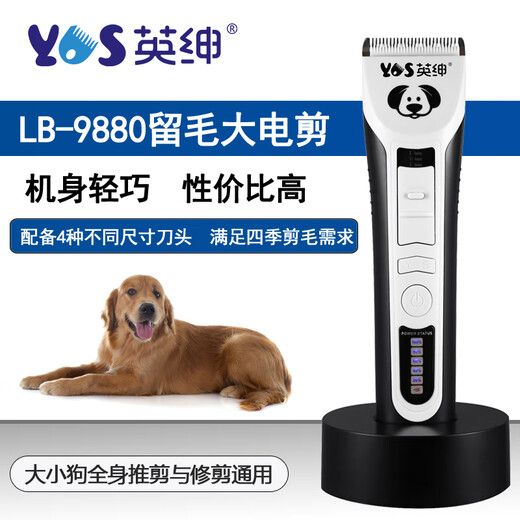 Yingshen pet electric clipper electric clipper for dogs and cats Teddy Samoyed Ragdoll cat gold gradient pet shaver 9880
