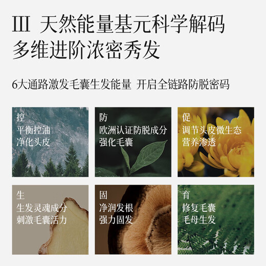 NOUGAT进口防脱洗发水控油蓬松固发养发防断发掉发洗发露男女通用
