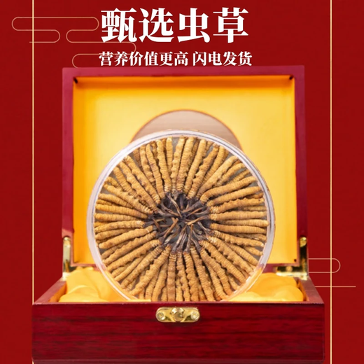 【假一赔十】雪山冬虫夏草正宗藏区虫草正品冬虫草礼盒装虫草干货 西藏那曲虫草3条一克合计10条