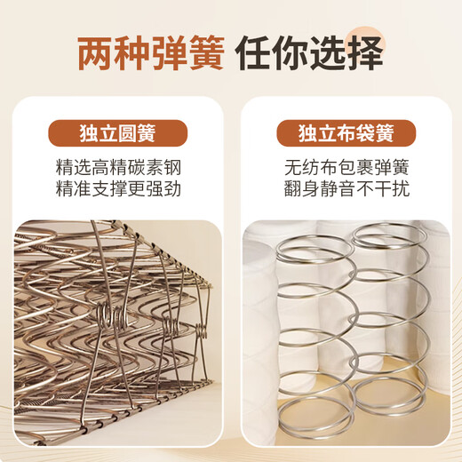Yi Chang Simmons spring mattress coconut palm double bed spine protection independent round spring + brown 21CM1.5x2m harder 302 style