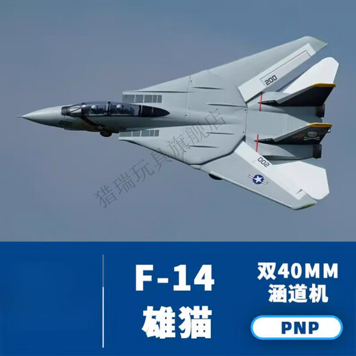 猎瑞F-14遥控战斗机模型双40mm双发涵道电动航模飞机固定翼美国 PNP(不含遥控器、接收机和电池)