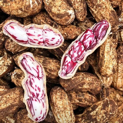 Candied Fruit Peanut Seeds Colorful Peanut Seeds Shelled Fresh Peanut Seeds Colorful Peanut Seeds Candied Fruit Peanut Seeds 200g Selected Belt