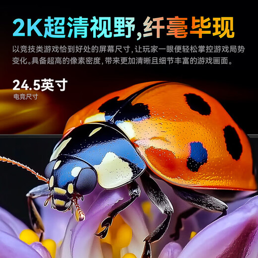 Titan Legion 24.5-inch 2K240HZ e-sports monitor FastIPS fast LCD game screen 1msGTG HDR400 hardware low blue light computer lifting and rotating LCD screen new 2K native 240Hz lifting and rotating P2512S