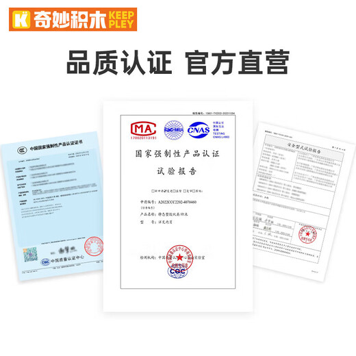 奇妙（keeppley）歼16D 积木拼装大国重器系列电子攻击机军事玩具模型男生生日礼物