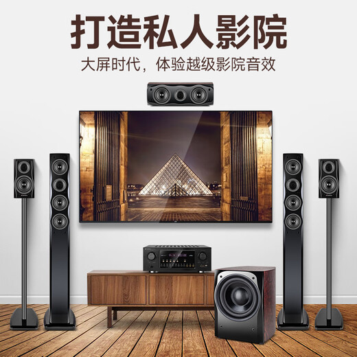 山水（SANSUI） F8 5.1无线家庭影院 木质家庭KTV音响套装 卡拉OK 落地式家居音响 5.1豪华版【高配功放10A】
