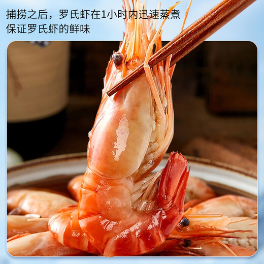 Fishing Travel Notes Domestic Macrobrachium rosenbergii net weight 750g 46-60 fresh cooked frozen freshwater shrimp big head shrimp 31-40Specifications
